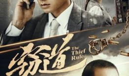 电影 窃道 在线观看,暗夜追击，真相背后