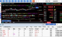 棉花期货最新爆料,揭秘价格波动背后的秘密