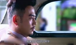 潜伏26集在线观看,揭秘潜伏者生死较量，在线观看惊心动魄